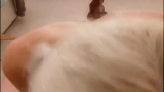 425 IzzyBunnies leaked onlyfans