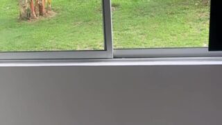 daniela antury hardcore