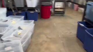 misscarriejune naked leak