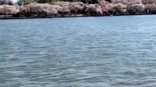 sophia leone oil porn