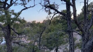 154 summerbrookes onlyfans nudes