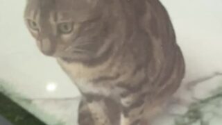 sophia leone porn video hd