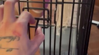 418 IzzyBunnies leaked onlyfans