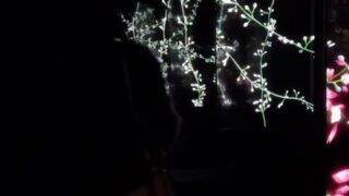 sophia leone hd porn videos