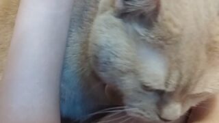 anaimiya onlyfans nudes