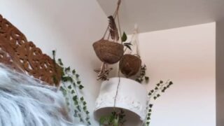 sensualsunshine onlyfans sextape 88