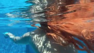 alina becker fansly leak