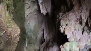 praewasian onlyfans videos 42