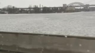 sophia leone porn black