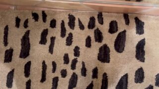 diora baird full nude after shower tease