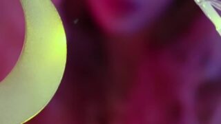 sensualsunshine leaked video 166