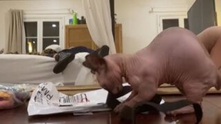 kaylen ward nudes leaked photos