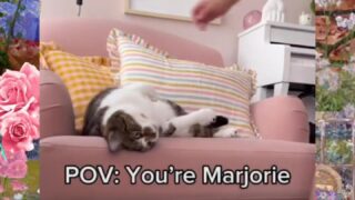 18 lookingformargot onlyfans nudes