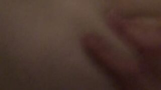 dainty wilder download