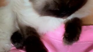 mayamixon onlyfans leak 94