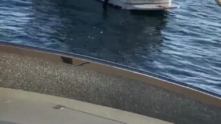 XXX playboy viking barbie