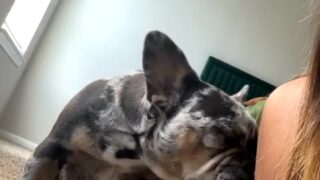 porn hub teanna trump