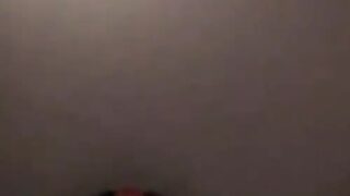 are lauren graham and alexis bledel related