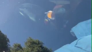 FULL VIDEO viking barbie onlyfans nude