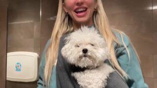 abbyrao new onlyfans content