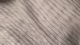 eva elfie and sybil a