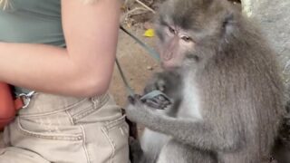 taviathevix OnlyFans Porn Leaks