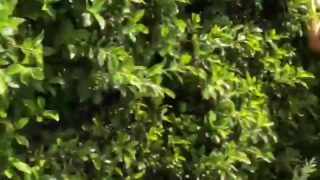 Sophie Dee Sensuality in Private Moments