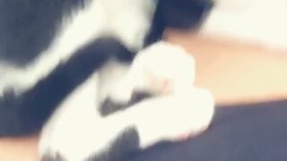 Sophie Dee Irresistible Nude Seduction