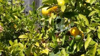 Elfgirltalia Nude Porn Videos Exposed