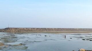 taviathevix Foursome Sex Tape