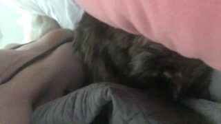 Sophie Dee Nude Naughtiness Unveiled