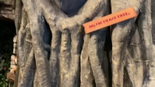 taviathevix Sensual Pleasures