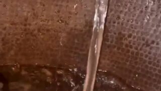 bubblebratz takes 15 inches