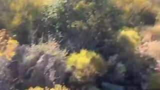 Yourina Fansly Pussy Leaks