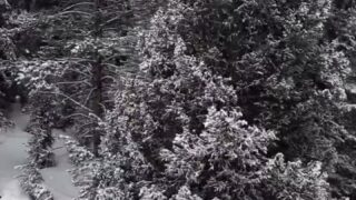 sunny skye full-on leak