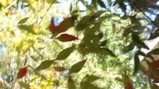 Elfgirltalia Nude Pussy Leaks