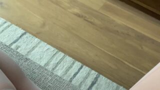 Veronica Perasso Porn Videos Online