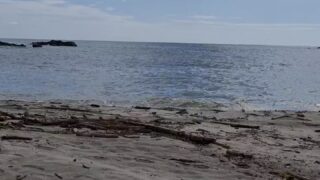 yor uwu Leaked Nude Download