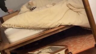 sara mascara sex videos