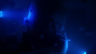 Tulpina Pornstar Mega Collection