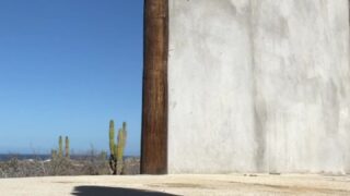 taviathevix Leaked Sensual Encounters