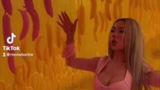 Meowbarbie Pornhub Free Leak Video