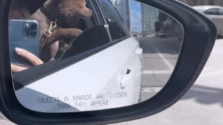 scarlettkissesxo swap