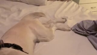 Jamielyn Nude OnlyFans Video Leak