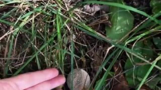 Lillywuxo solo pleasure session leaked