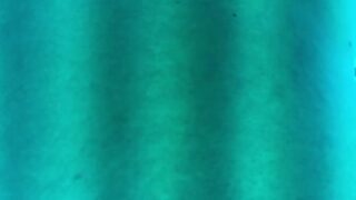 BigBootyNetty Sensual Nude Moments Download