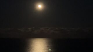 lupuwellness leaked tape