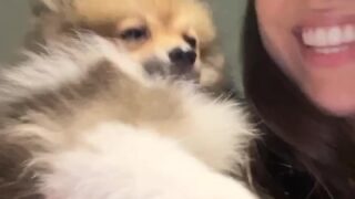 thecollegestripper of nude