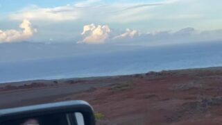 LupuWellness Wild Porn Leaks HD