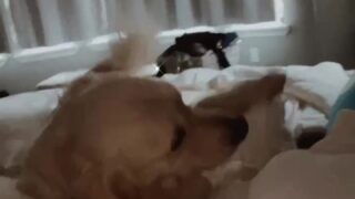 Jamielyn Nude OnlyFans Leaked